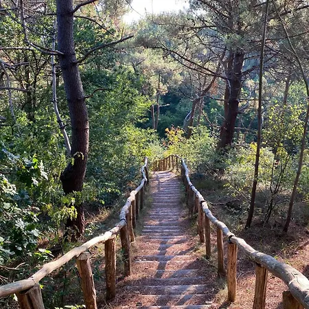 度假居 2 Bedroom Front In 海边的艾格蒙特