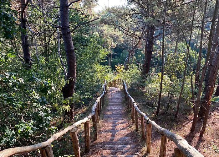 Vakantiehuis 2 Bedroom Front In Egmond aan Zee