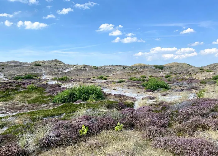 2 Bedroom Front In Vakantiehuis Egmond aan Zee